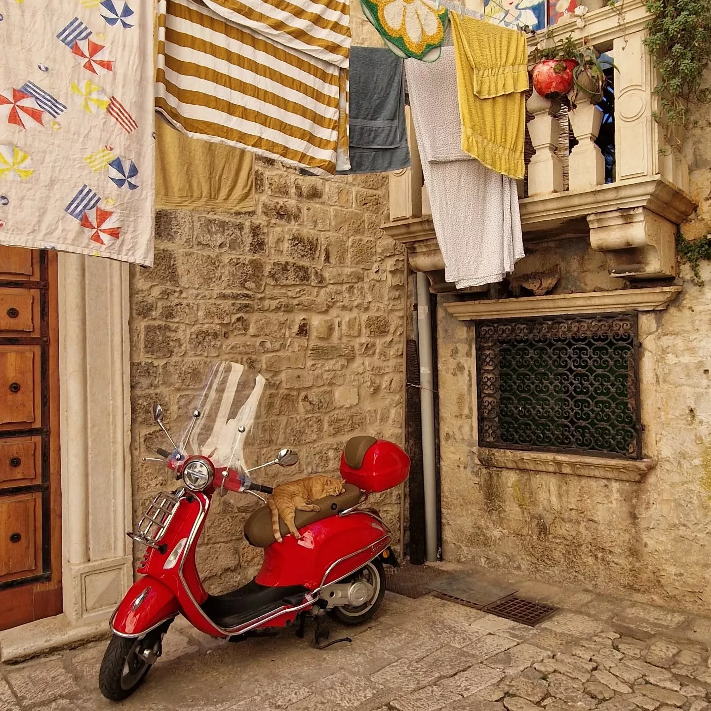 IFYKYK - Croatian Steve